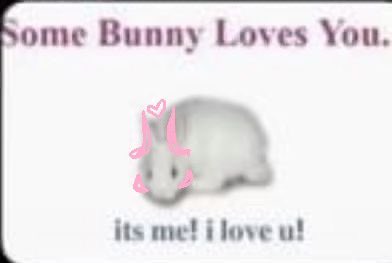 cutiespace irl 🎀🐇 tweet media