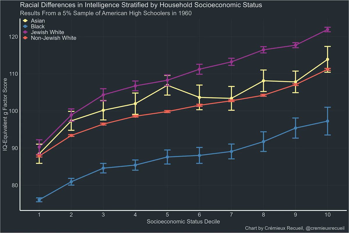 joanaperec tweet media