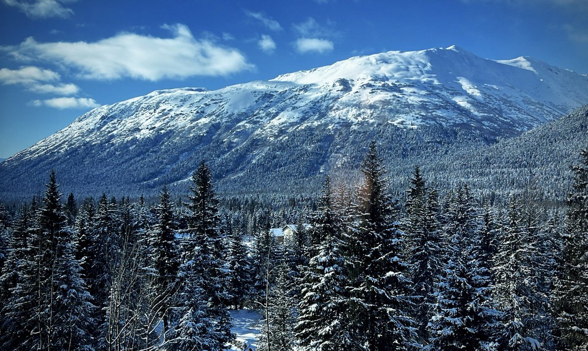 Mr FuZzz tweet media