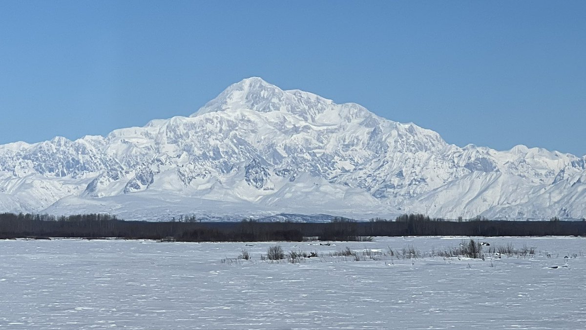 Mr FuZzz tweet media