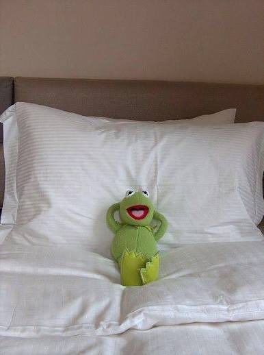 Clownfcr_ tweet media