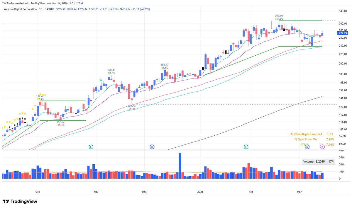 TML Trader tweet media