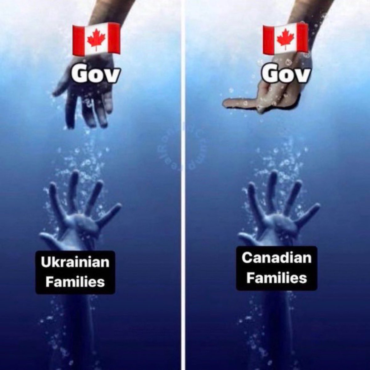 The Buck You Will tweet media