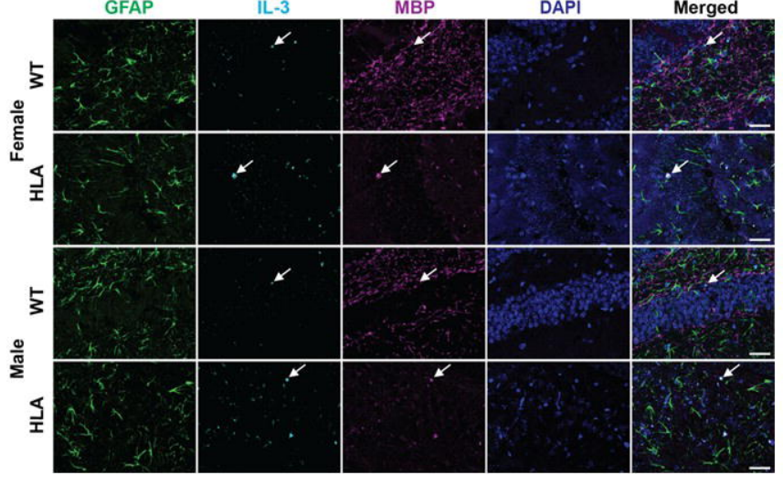 Waggoner Lab tweet media