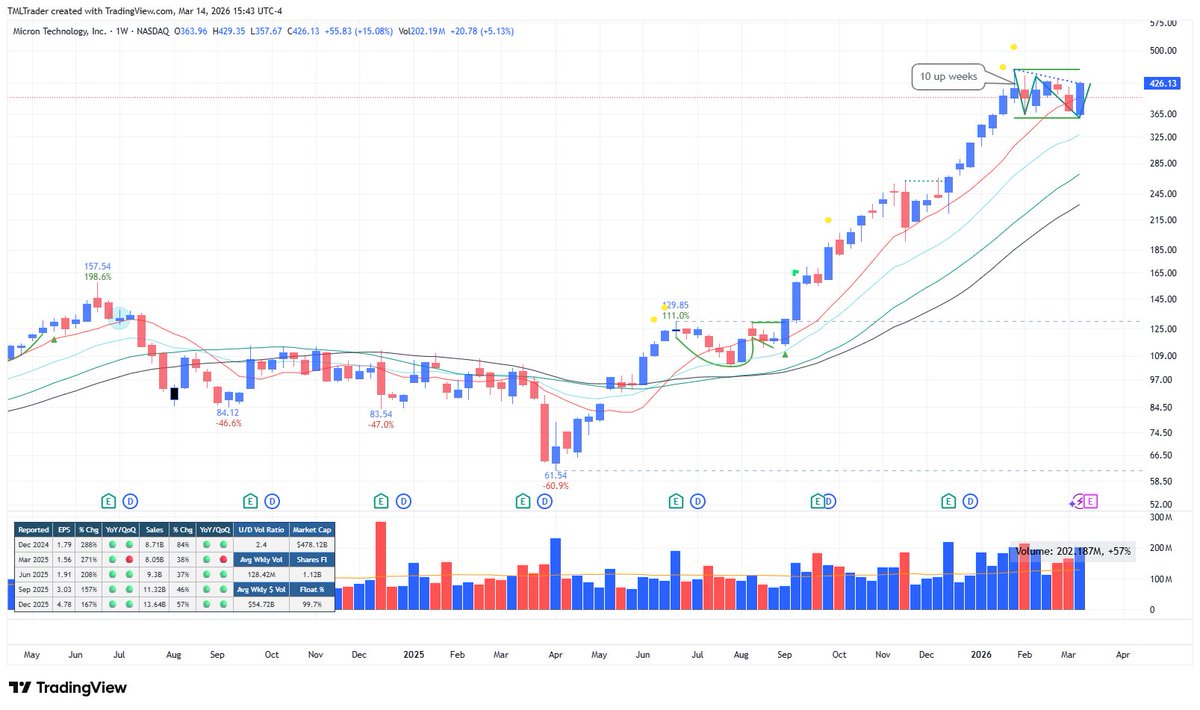 TML Trader tweet media