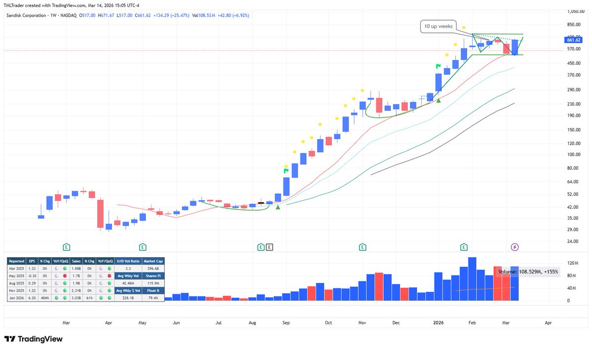 TML Trader tweet media