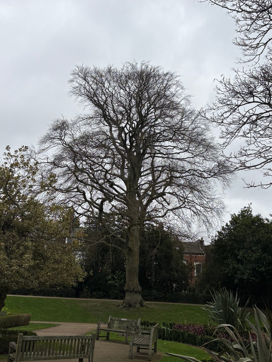 ALASTAIR CAMPBELL tweet media