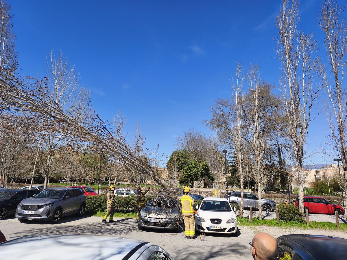 Josep Anton Massagué tweet media