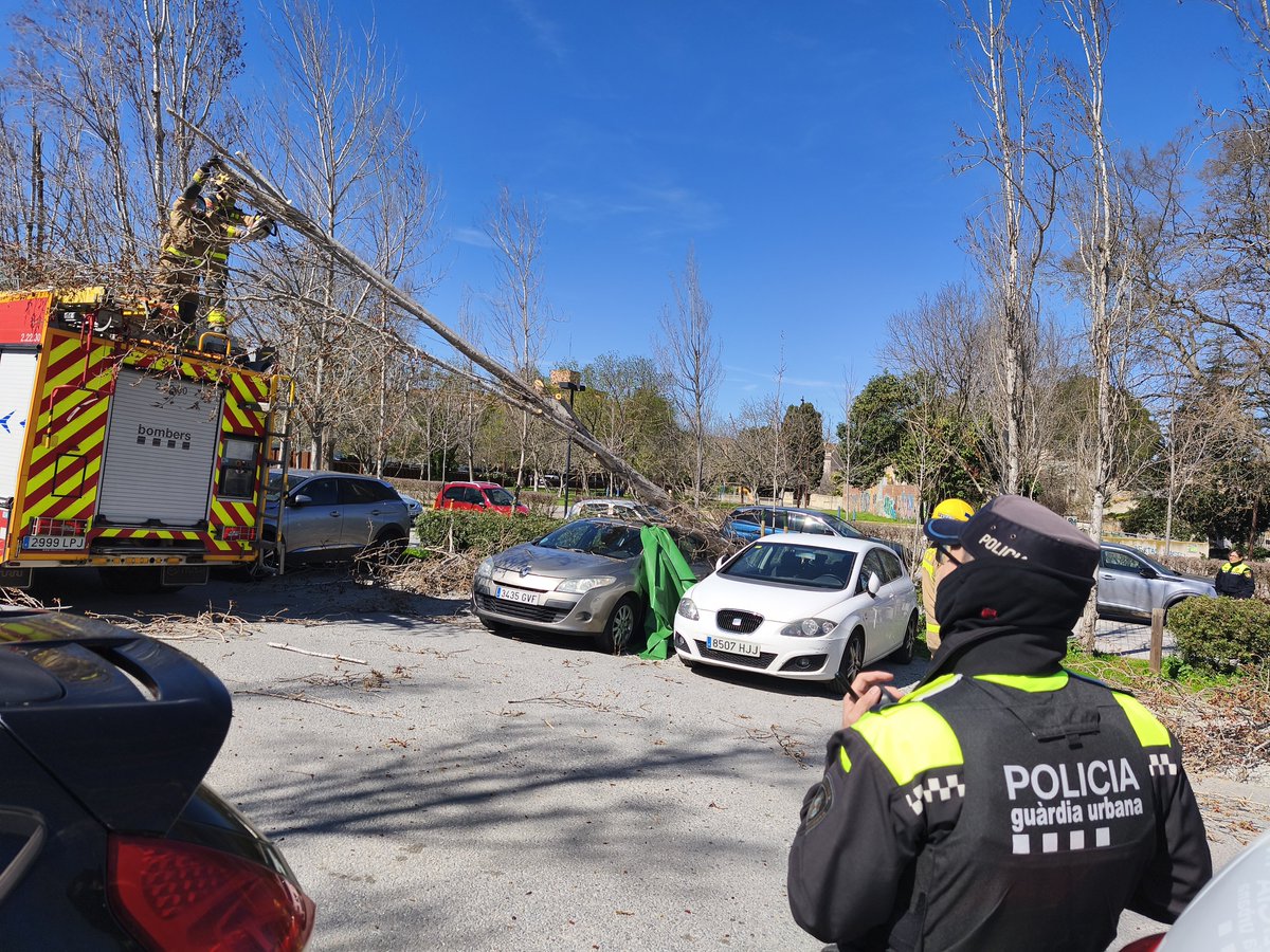 Josep Anton Massagué tweet media