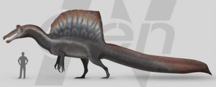 LAGARTO753 tweet media