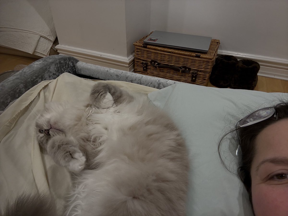 Sarah Evans tweet media