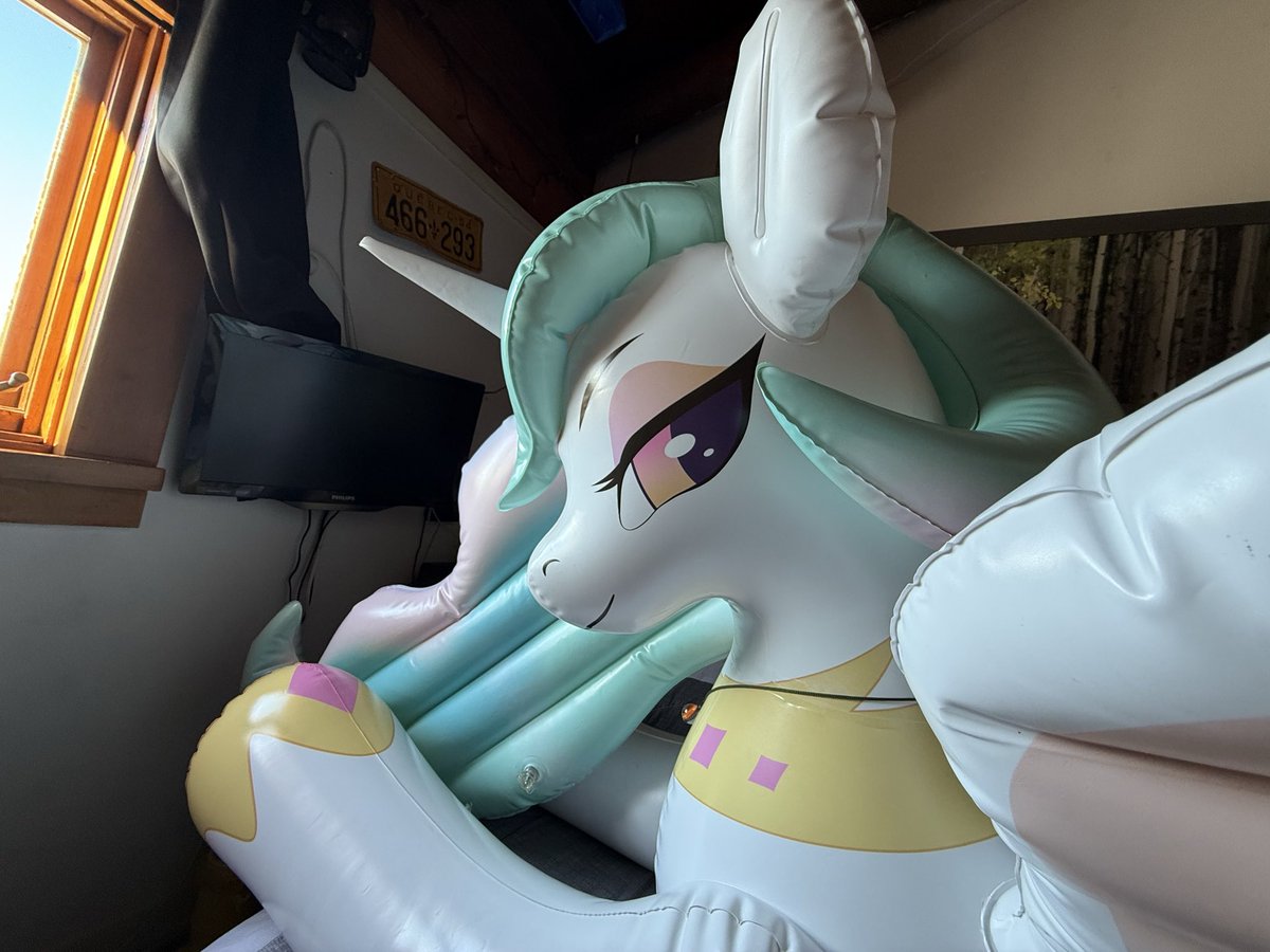 Nøurs 🧸⚡️🐻 tweet media