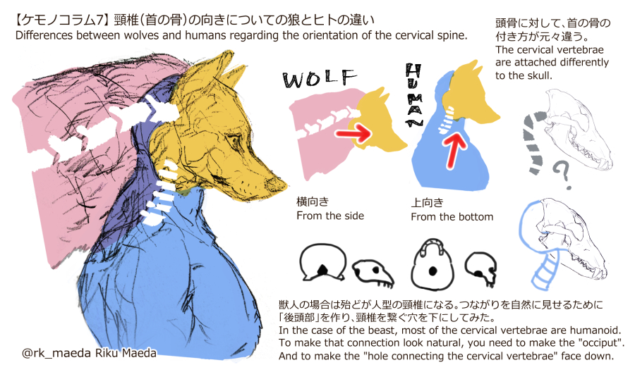 前田陸(Riku Maeda) tweet media