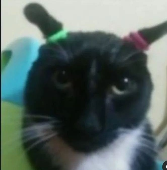 ⲨeniCream 🍦 tweet media