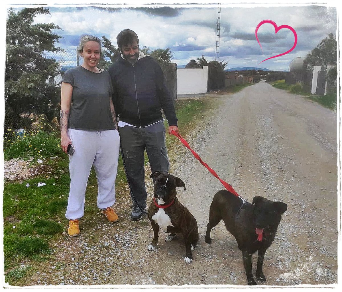 El Refugio de Brown tweet media