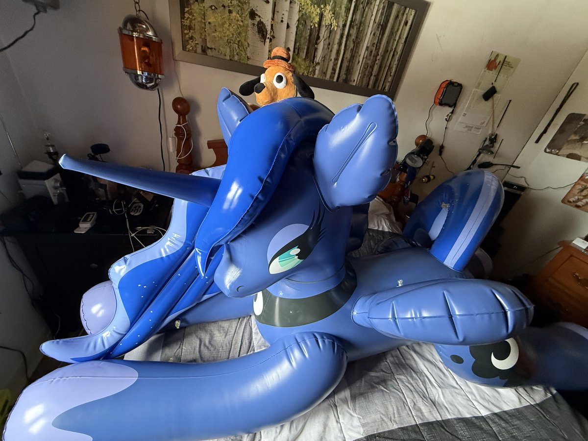 Nøurs 🧸⚡️🐻 tweet media