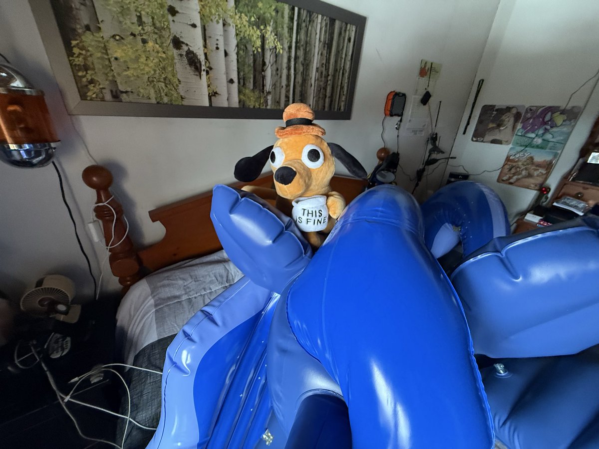 Nøurs 🧸⚡️🐻 tweet media