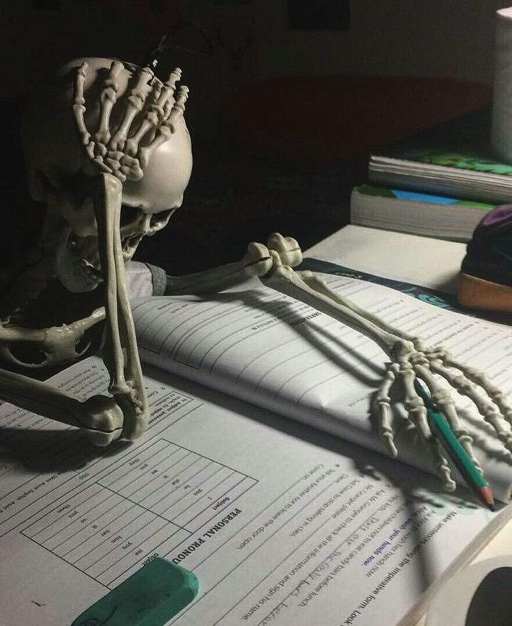 ɴɪᴍɪ ᴛʜᴇ ᴠᴀ 💼📎🌸 tweet media