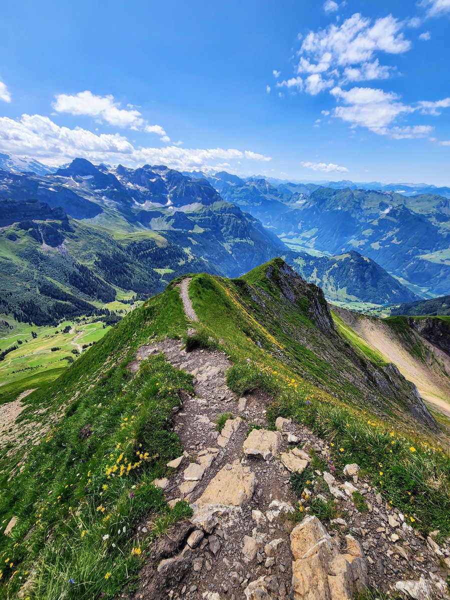 HikingSwitzerland tweet media