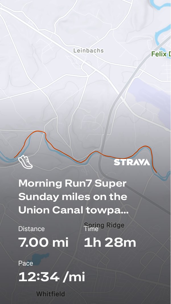 scott scheidt tweet media