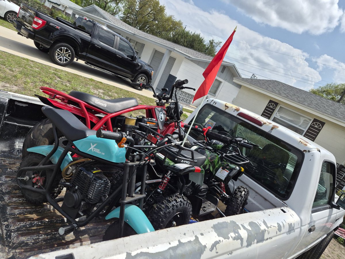 Rory Geer ↾⇃ ⁿₑrVªpₑ 🦍🦴 tweet media