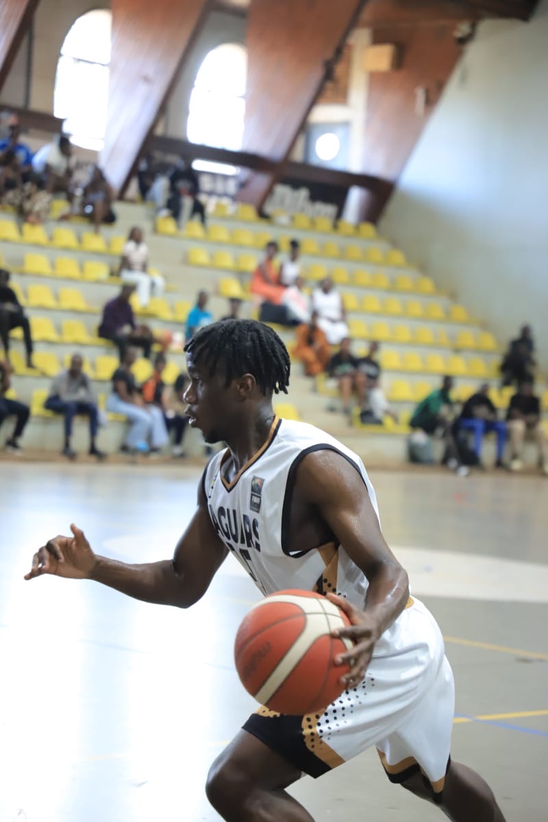 Jaguars of Kira tweet media