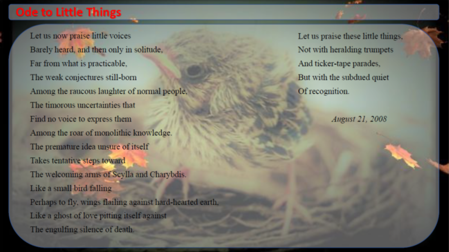 Mike Stone tweet media