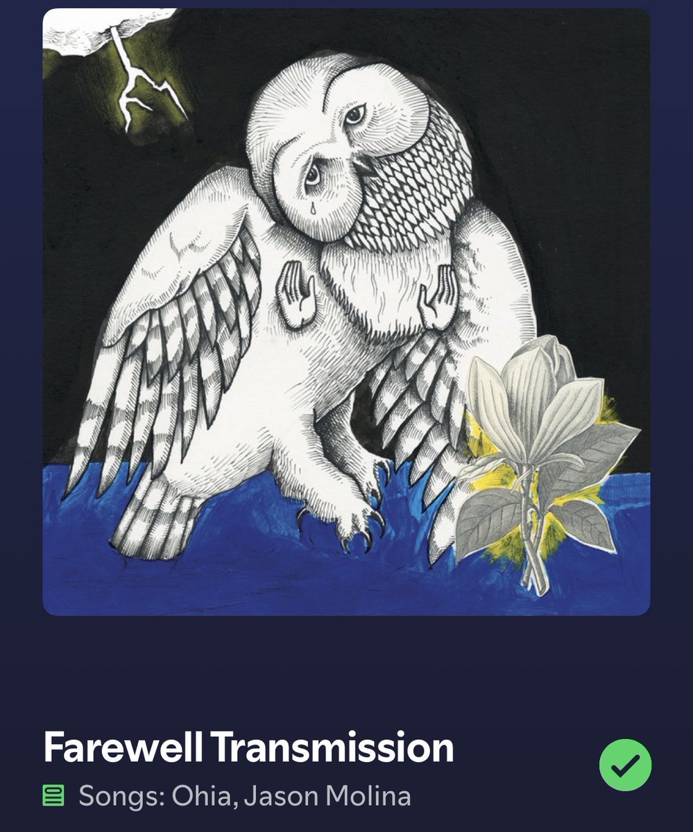 Random Dude tweet media