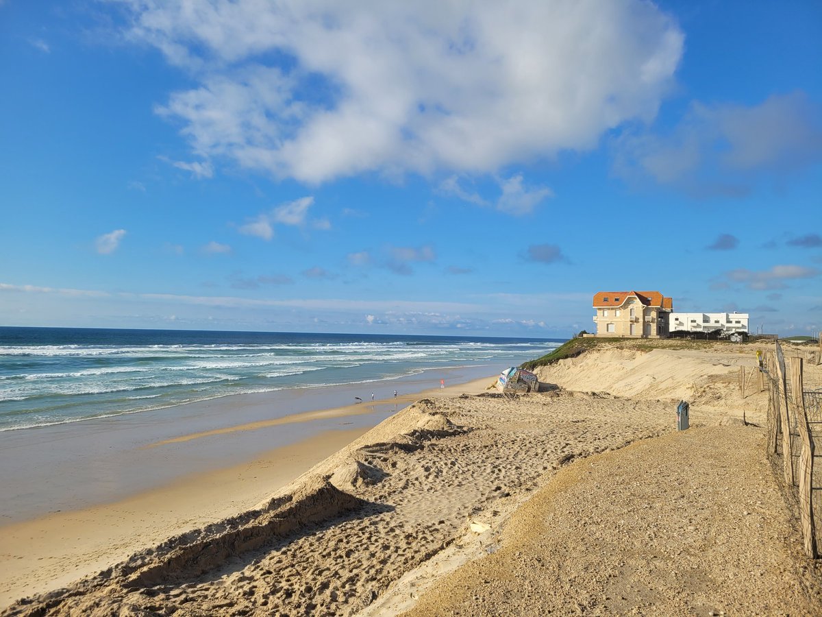 Alpine-Eveline🐘 tweet media