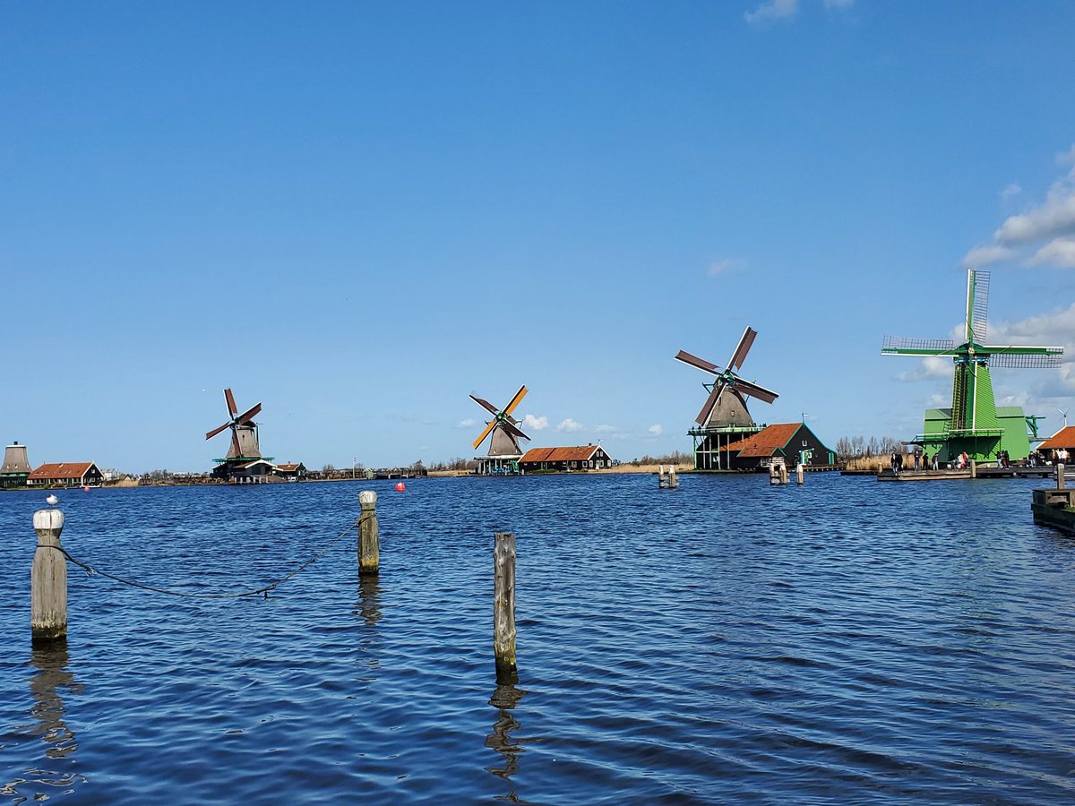 Simeonova tweet media