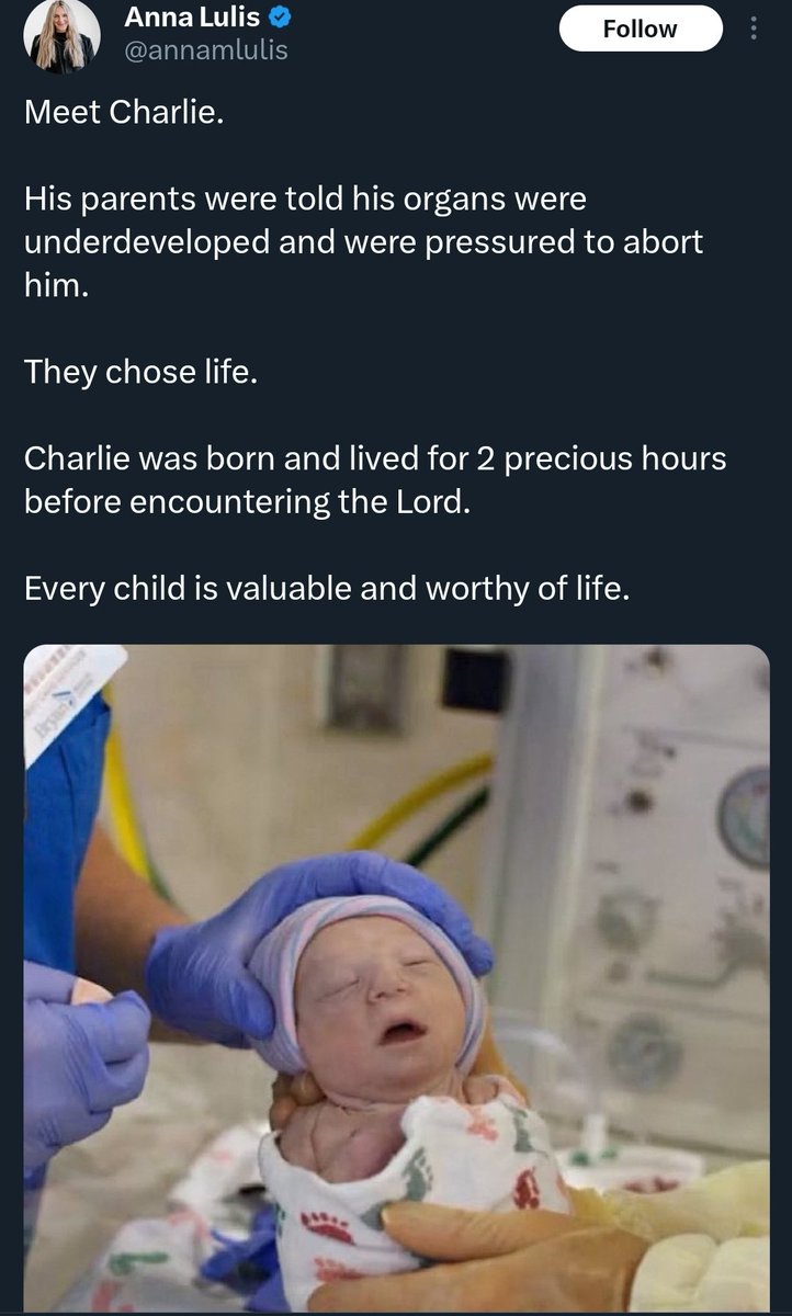 The Road Jess Travelled tweet media