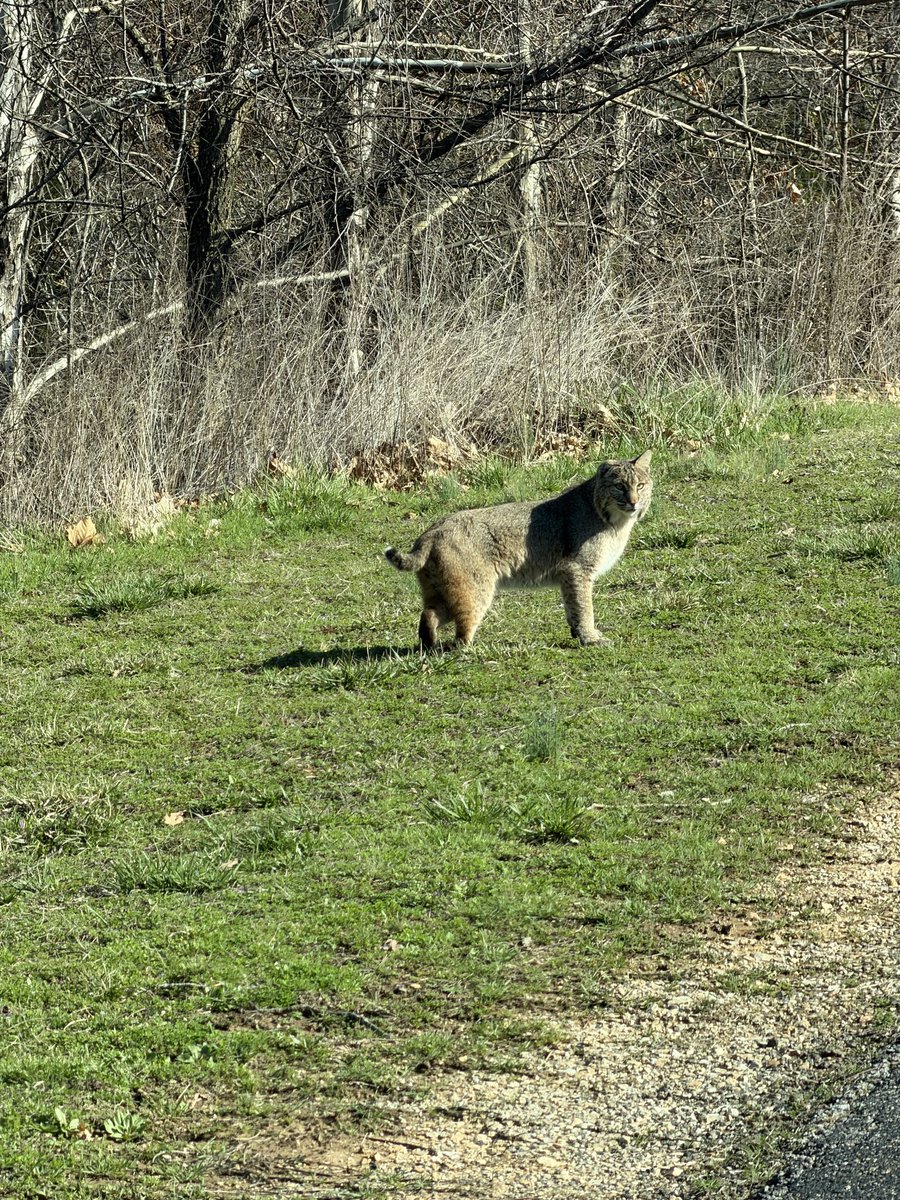 Josh Martin 🛫 tweet media