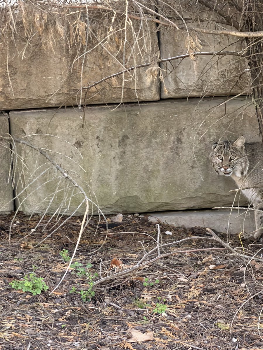 Josh Martin 🛫 tweet media