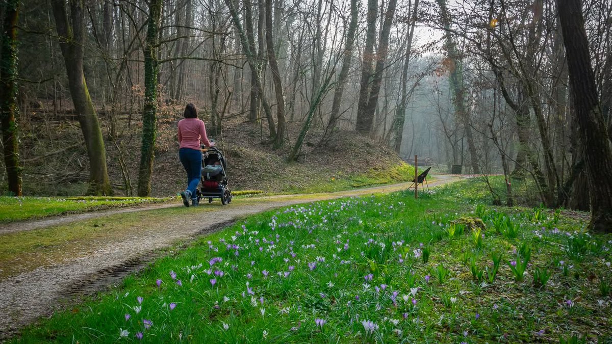 TurismoFVG tweet media