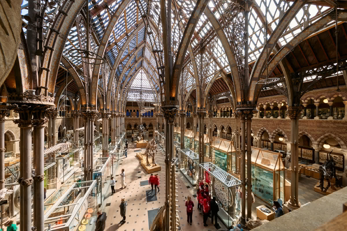 Experience Oxfordshire tweet media