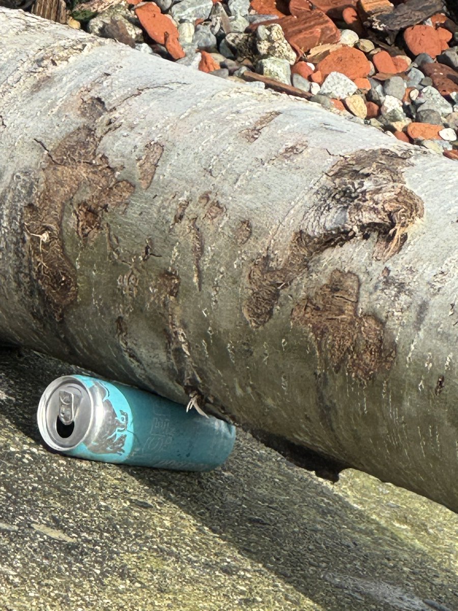 4eyedmonkey 🤓😎🥸 tweet media