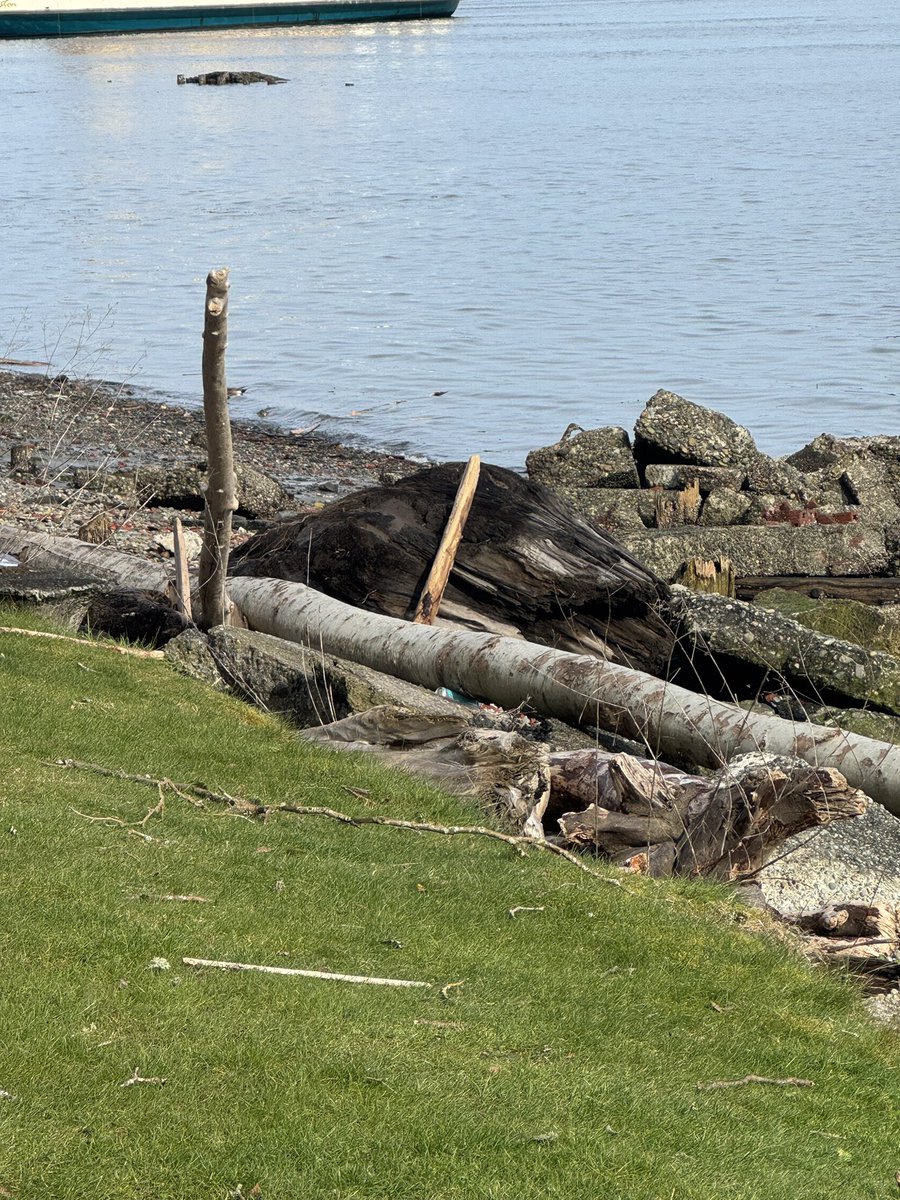 4eyedmonkey 🤓😎🥸 tweet media