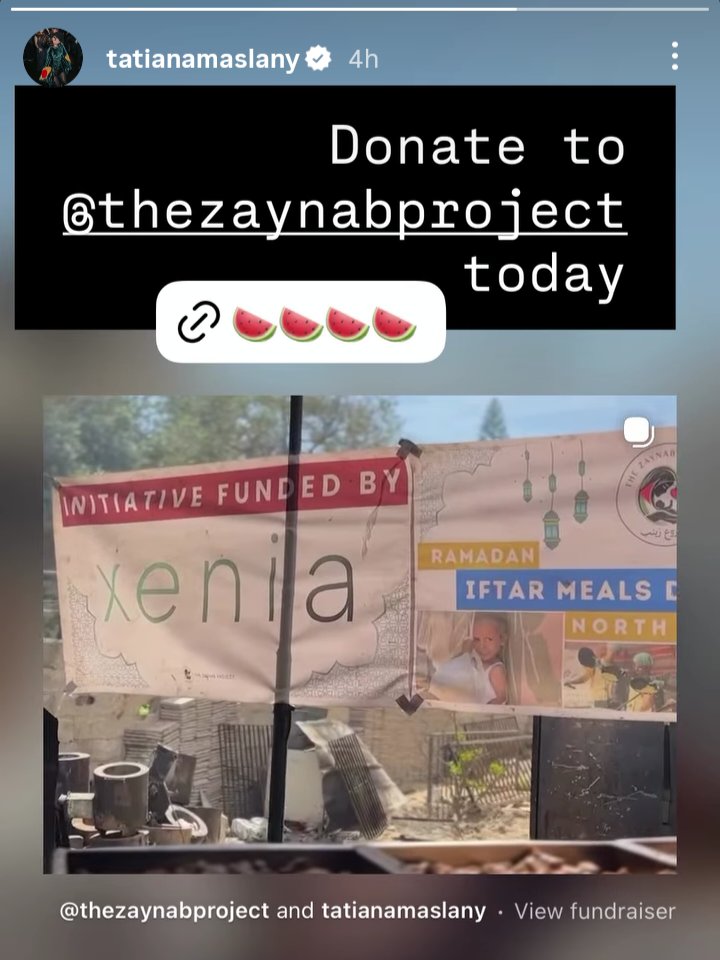 SestraHulk's tweet photo. Help Tatiana Maslany support The Zaynab Project, a muslim woman-led nonprofit organization providing food, clothes, medical aid and mental health programs to displaced families and children in Gaza! 

Even donations as little as $4 can save lives! 
https://t.co/CyBnI1E5w6 https://t.co/vacmHLNurY