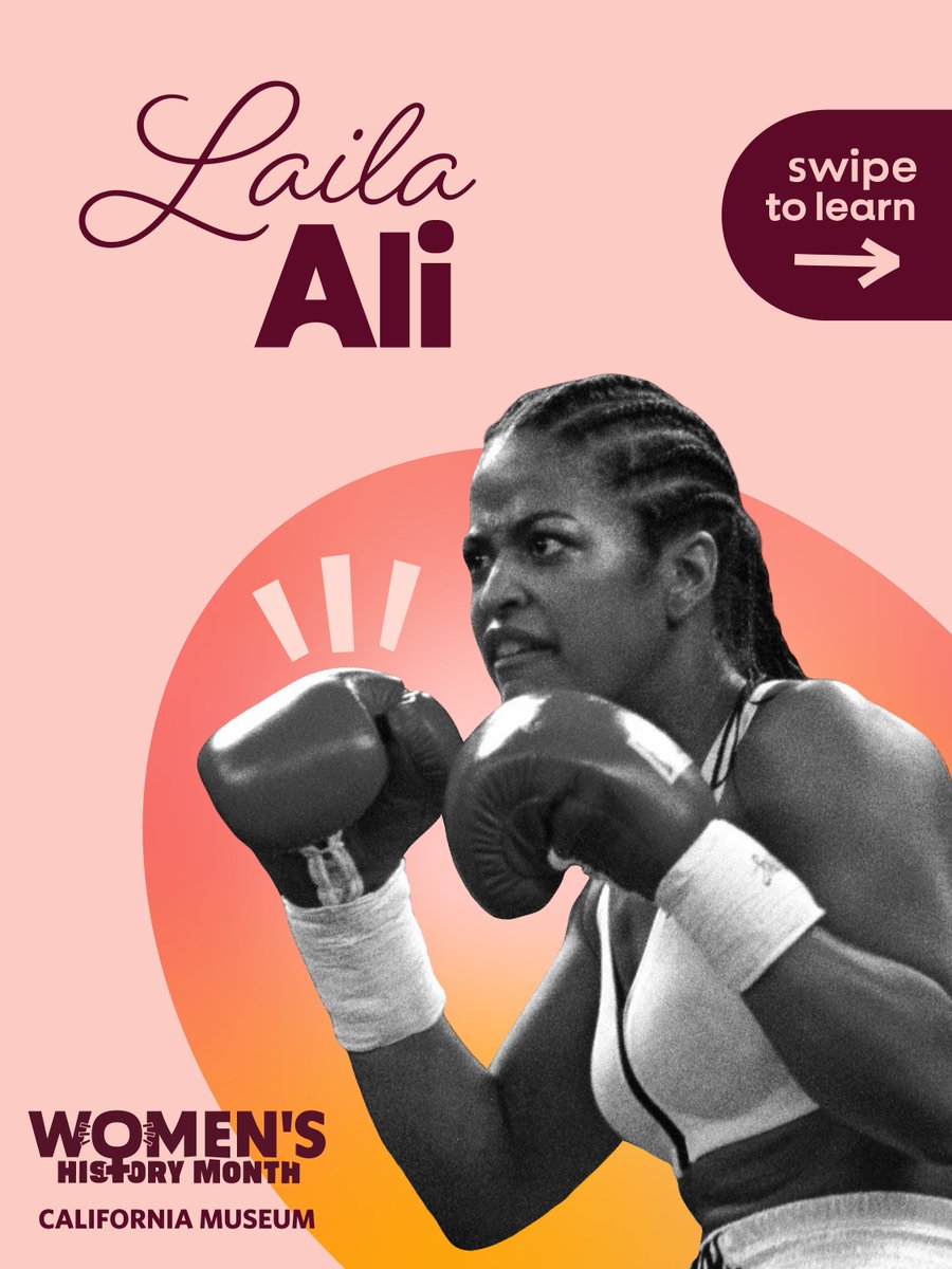 California Museum tweet media