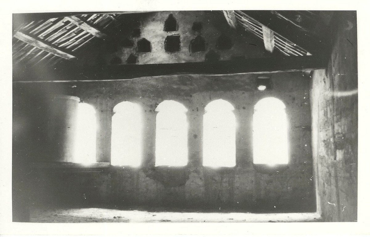 Ireneu Castillo tweet media