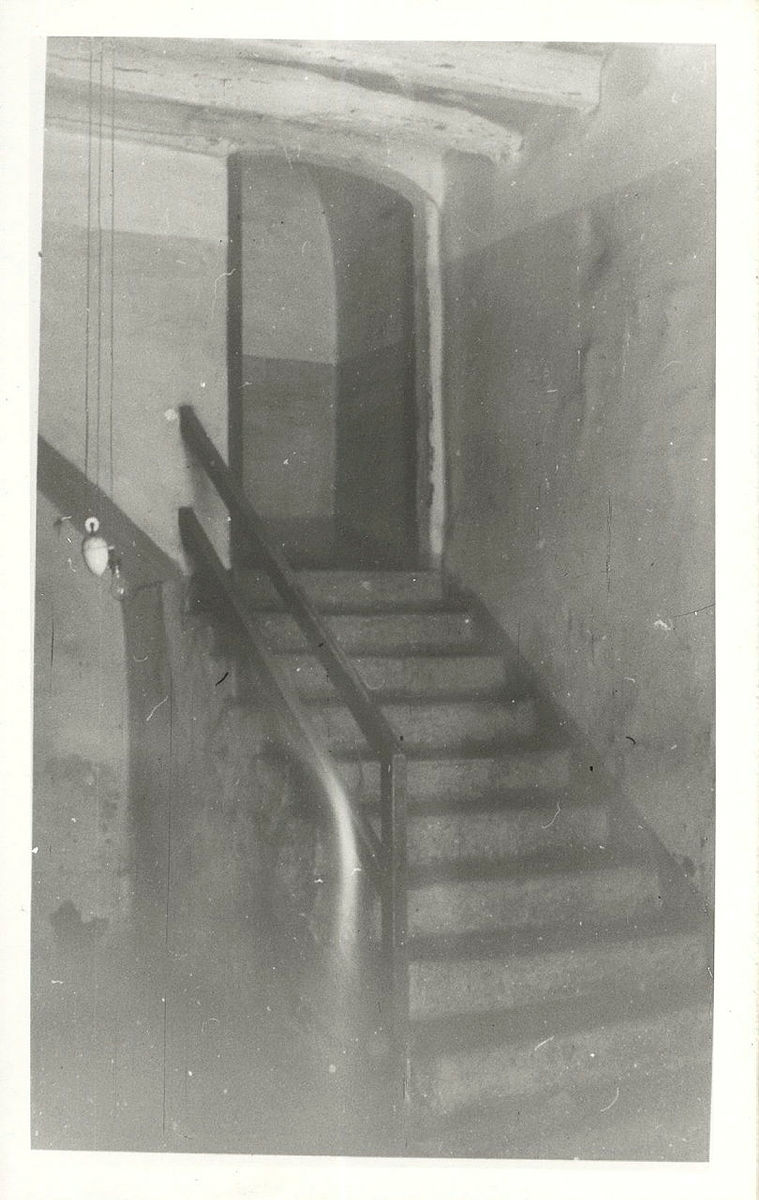 Ireneu Castillo tweet media