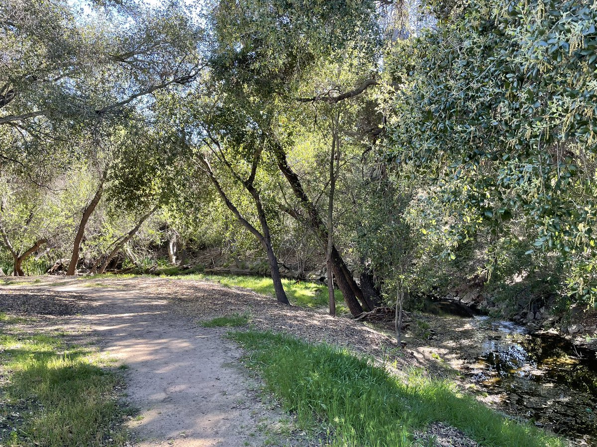 hillypaige2's tweet photo. #coschallenge
#3 of 10 in the @COSChallenge - Lindero Creek. A short but beautiful trail that runs through the woods along a stream. Gorgeous oaks and very tranquil!
@ConejoOpenSpace https://t.co/F8ffb7qmU5