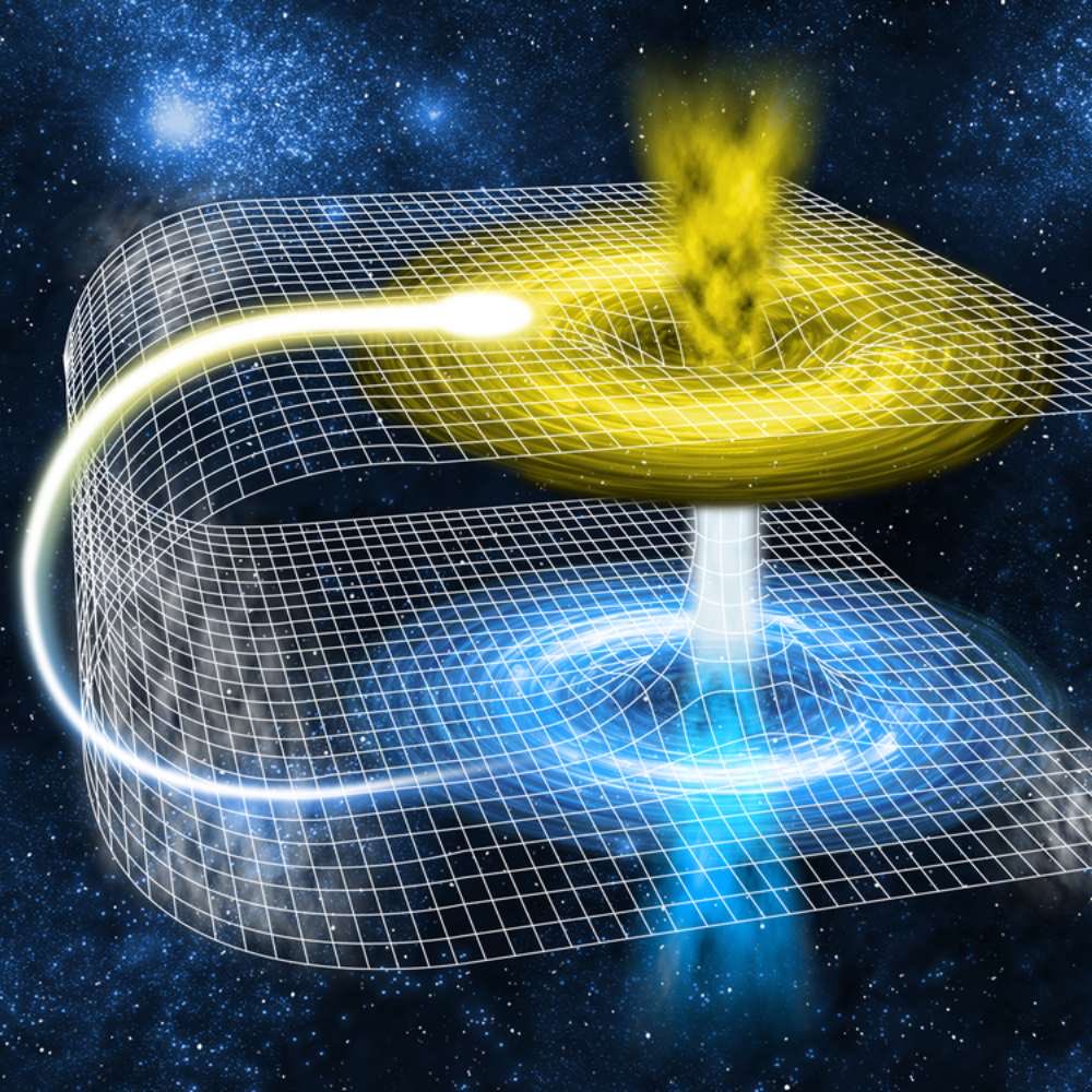 The Curious Tales tweet media