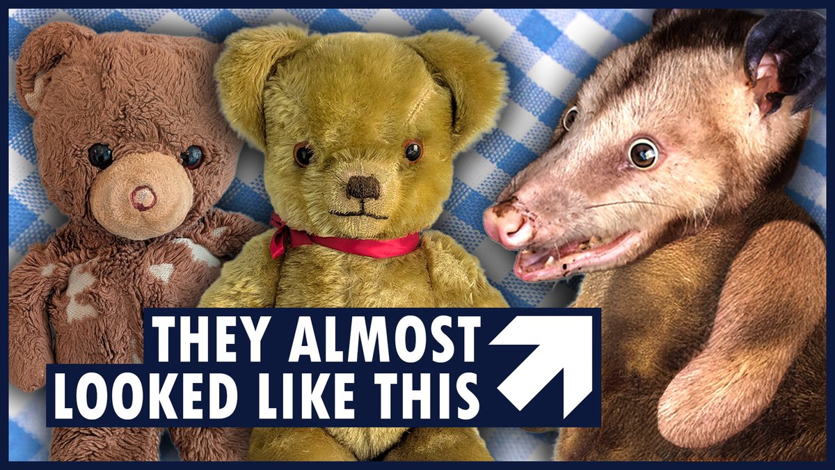 Peter Austin tweet media