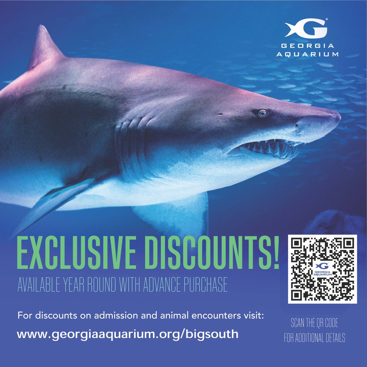 BigSouthGA's tweet photo. We’ve partnered with the Georgia Aquarium to offer an exclusive BSQ 2026 discount. 

Use the link in the photo to utilize the discount.  

Can’t wait to host everyone in ATL soon! https://t.co/pgefFNEetb