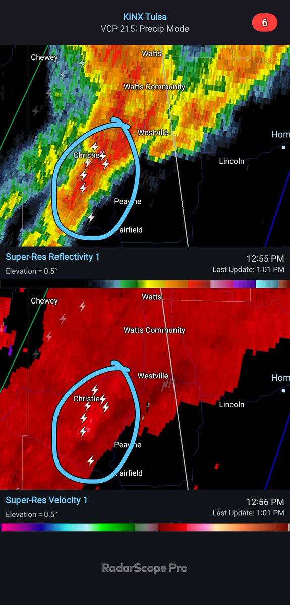 Mitchell Meyer tweet media