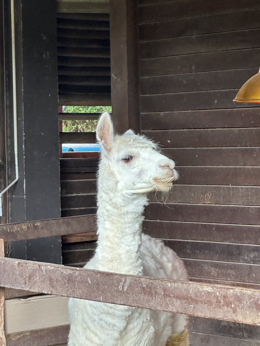 PERTHPPE tweet media