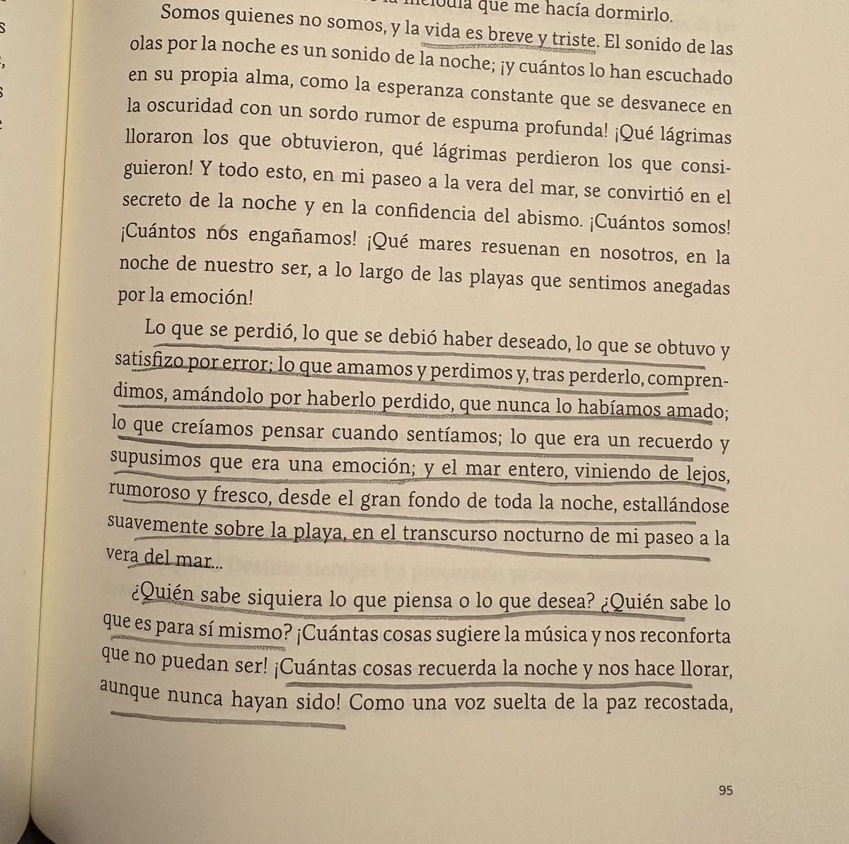 MyriamMaeso's tweet photo. Terminar un libro de Pessoa un domingo es algo así como destruirse con conciencia. https://t.co/ojg3rL75X8