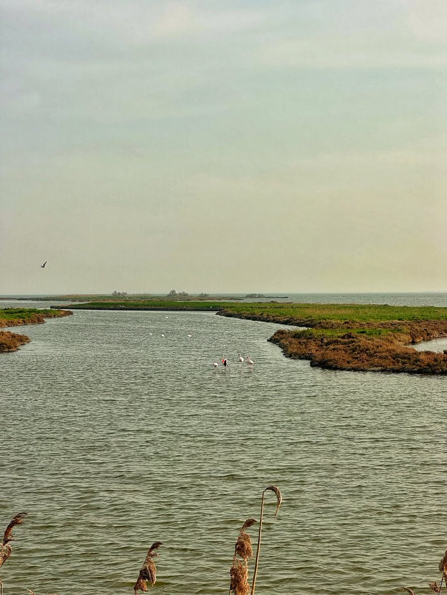 inEmiliaRomagna tweet media