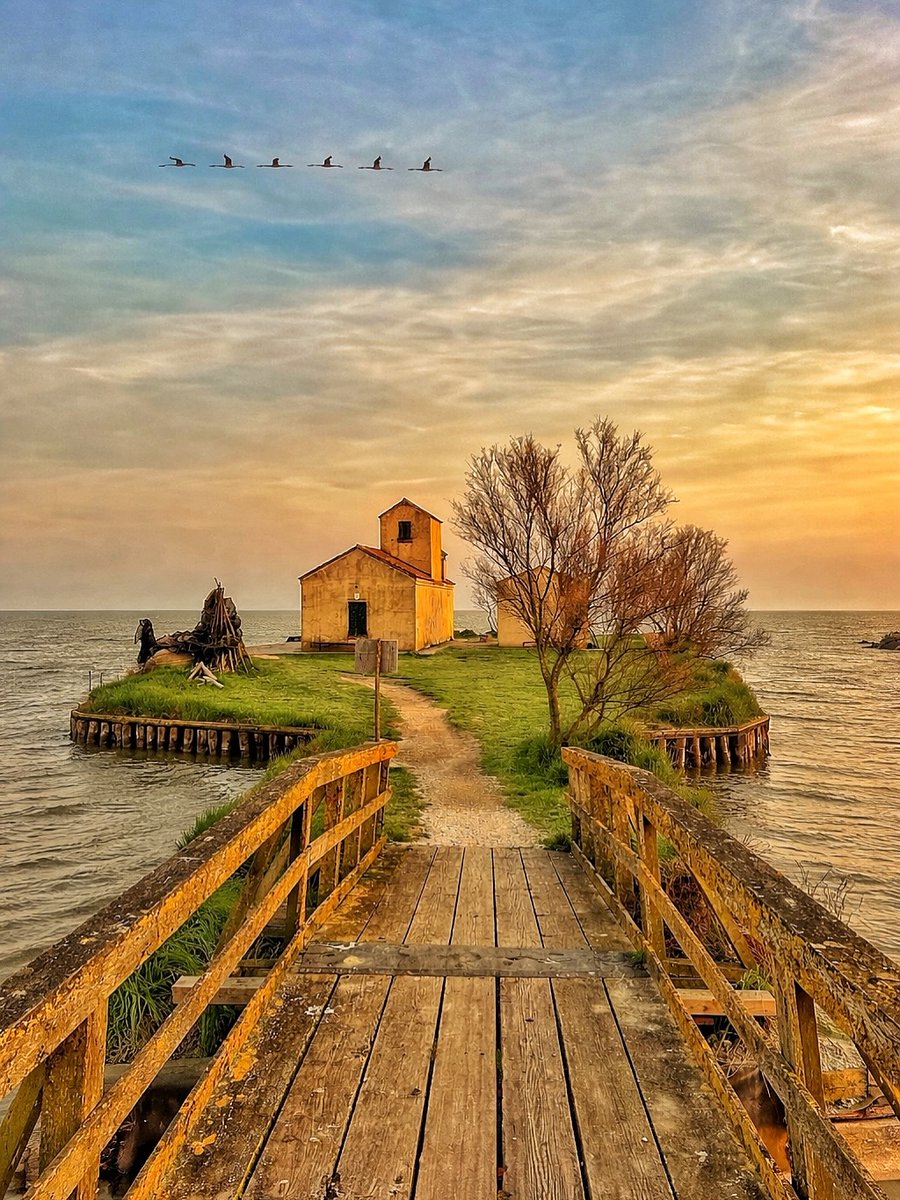 inEmiliaRomagna tweet media